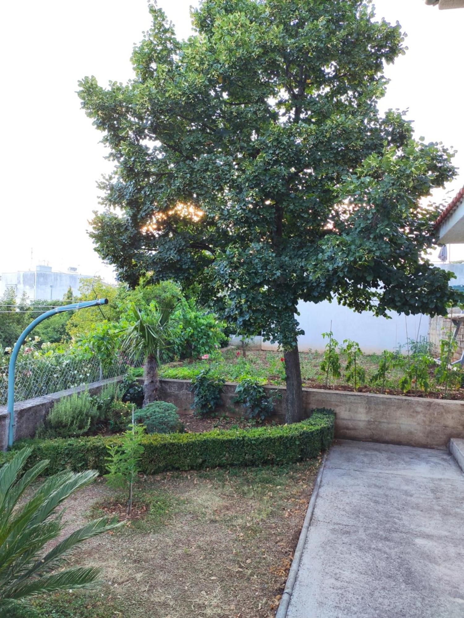 Apartment With Private Garden And The Terrace Ev Station Available Crikvenica Ngoại thất bức ảnh