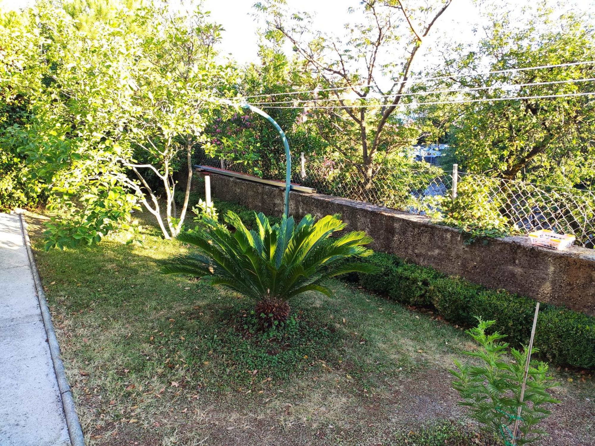 Apartment With Private Garden And The Terrace Ev Station Available Crikvenica Ngoại thất bức ảnh