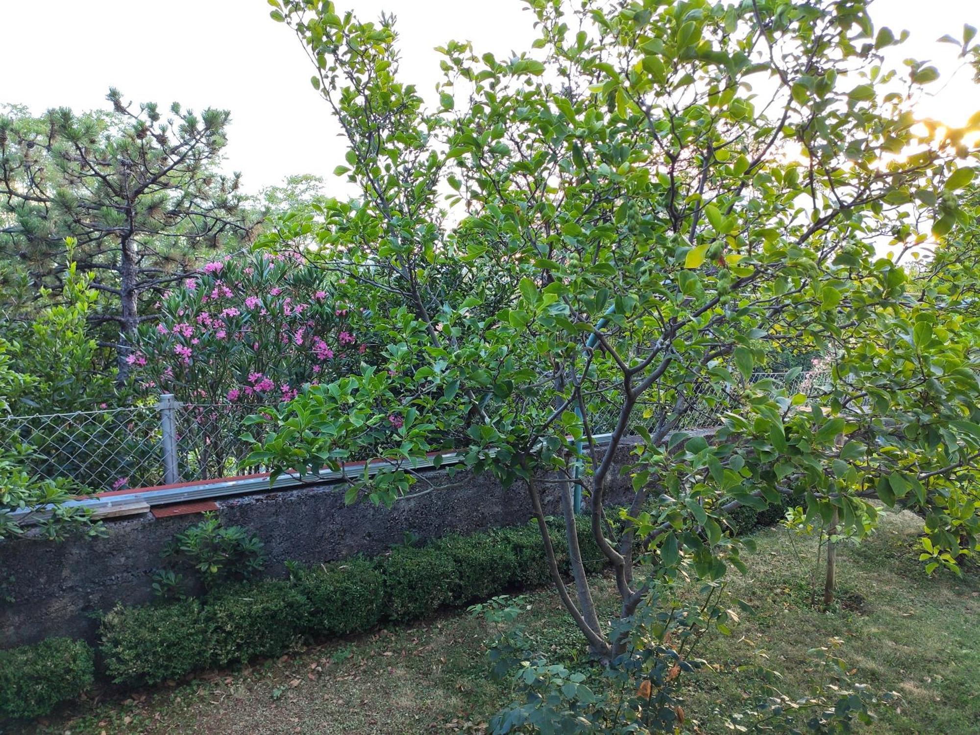 Apartment With Private Garden And The Terrace Ev Station Available Crikvenica Ngoại thất bức ảnh